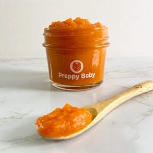 carrot + coriander baby food puree