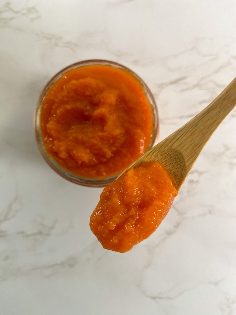 carrot + coriander baby food puree