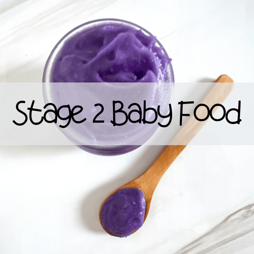 Stage 2 Baby Food