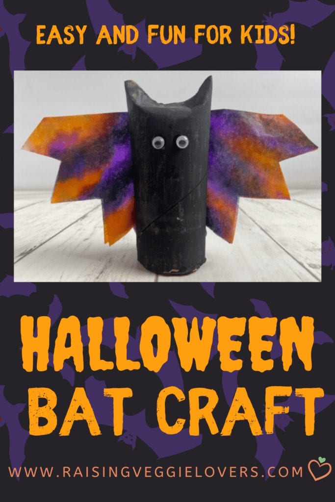 Halloween bat craft pin