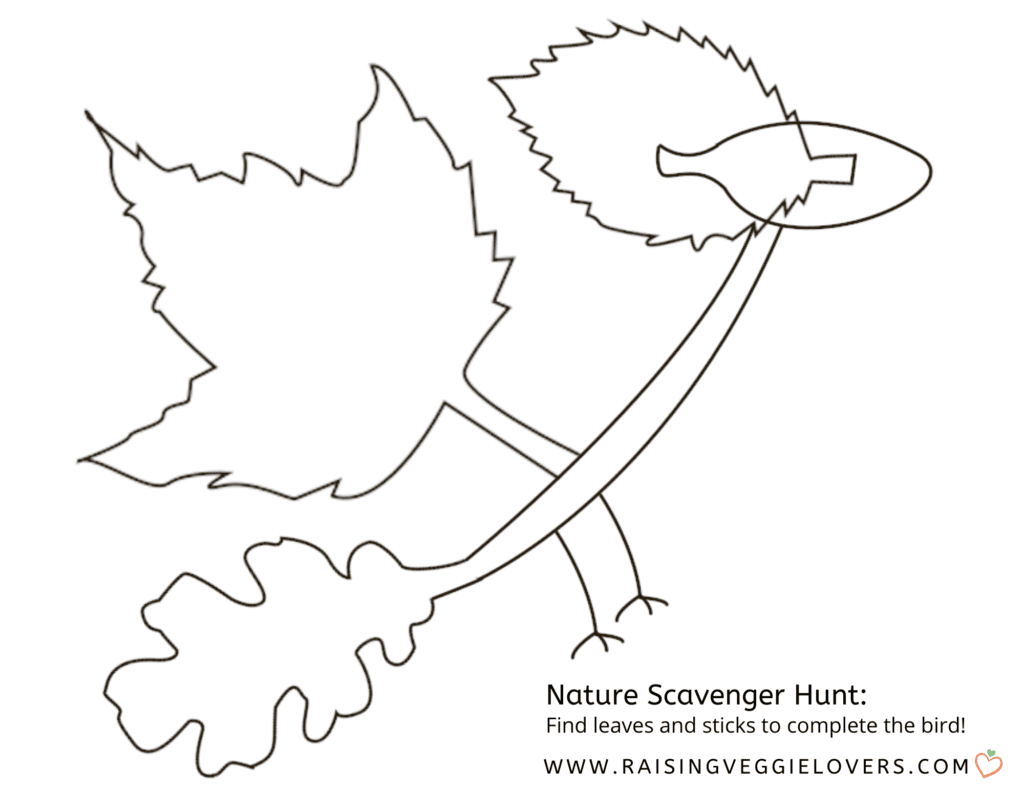 Bird Scavenger Art