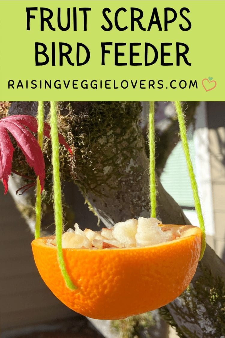 Easy Fruit Scraps Bird Feeder For Earth Day - Raising Veggie Lovers