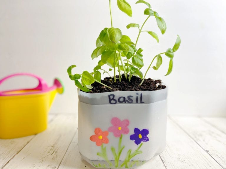 self watering milk jug planter