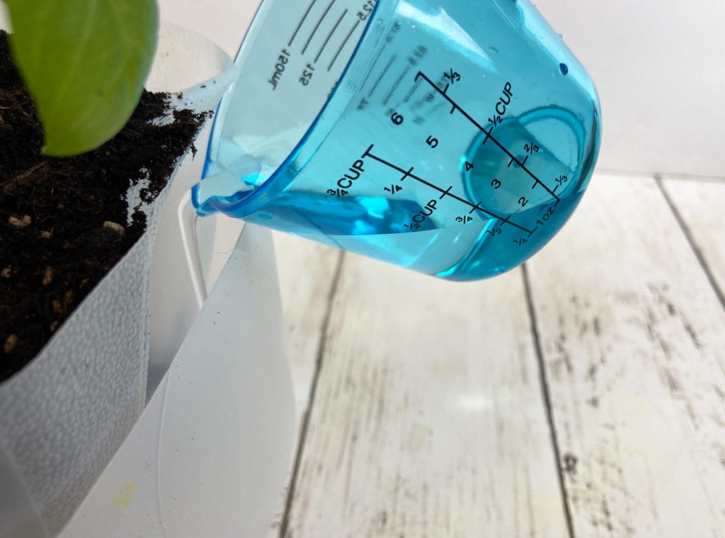 DIY self watering milk jug