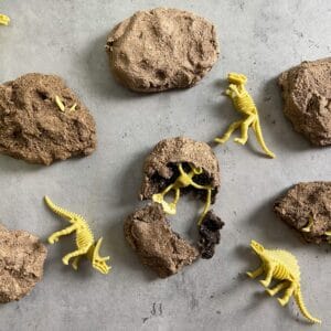 DIY Fossil Rocks