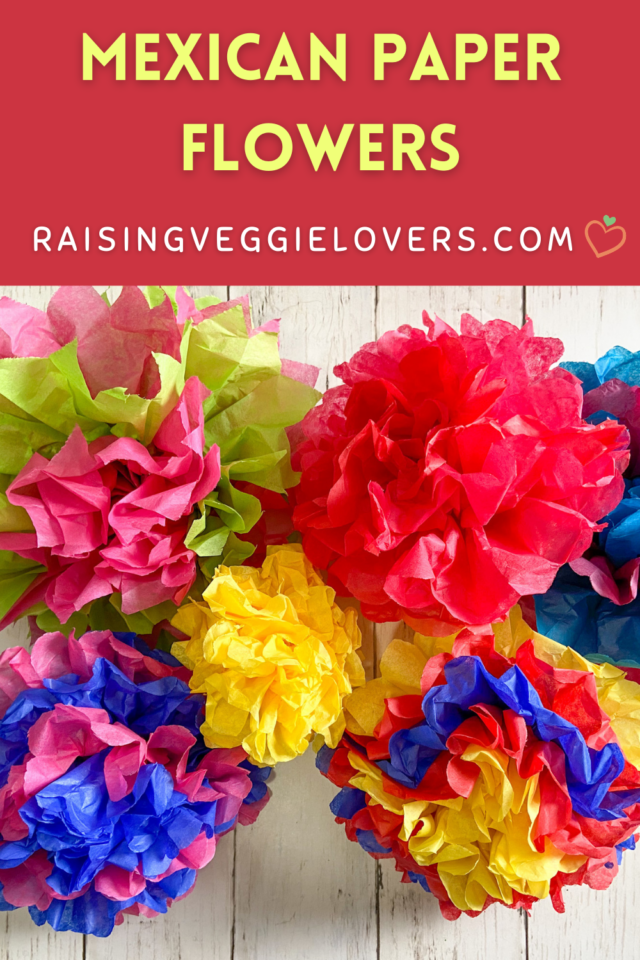 Mexican paper flowers tucson at leonard gagliano blog
