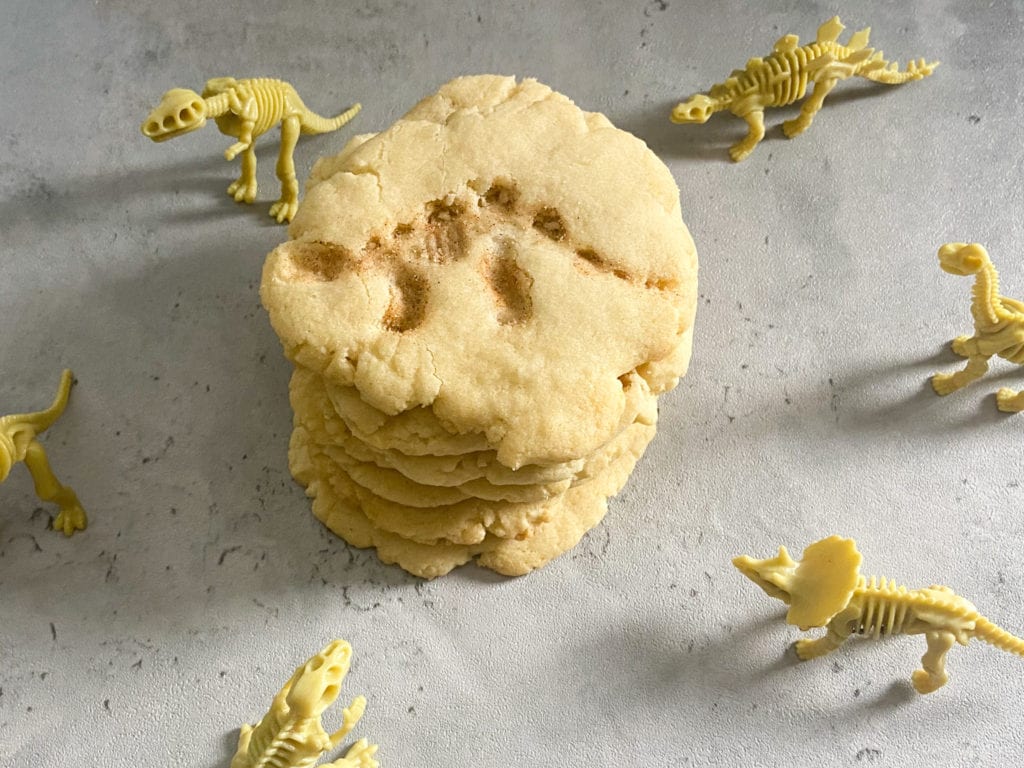 dinosaur fossil cookies