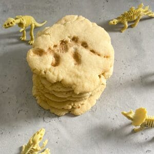 dinosaur fossil cookies
