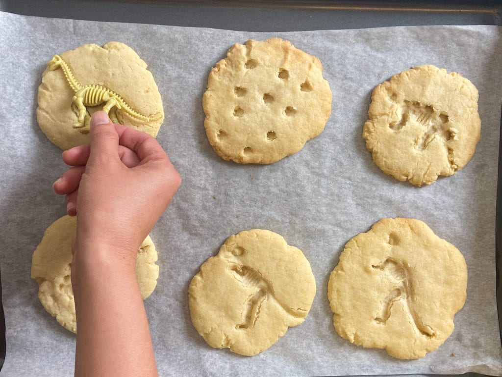 dinosaur fossil cookies