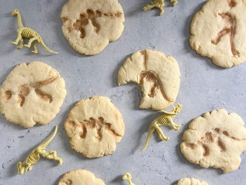 Fun And Easy Dinosaur Fossil Cookies - Raising Veggie Lovers