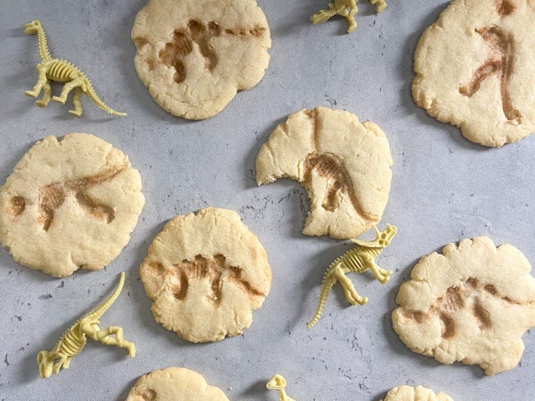 dinosaur fossil cookies