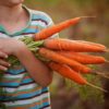 Easy Fruit and Veggies To Grow With Your Kids
