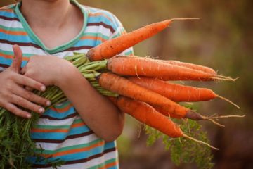 Easy Fruit and Veggies To Grow With Your Kids