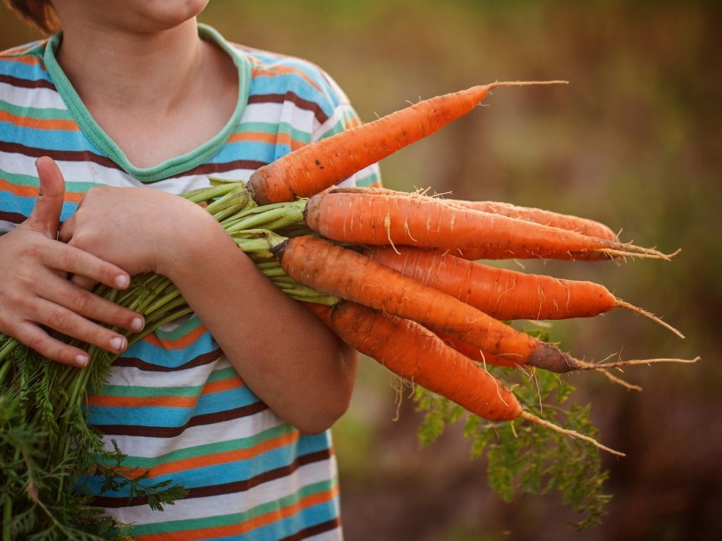 Easy Fruit and Veggies To Grow With Your Kids