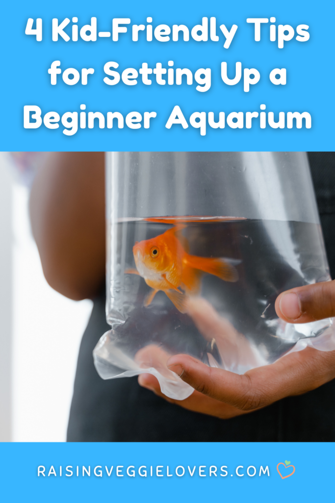 tips for setting up a beginner aquarium for kids pin