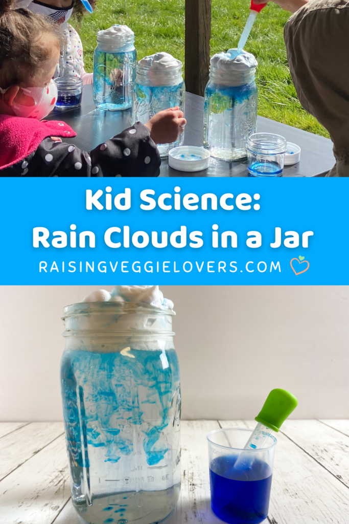 rain clouds in a jar pin