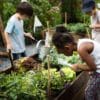 5 Ways To Teach Your Child To Love the Environment