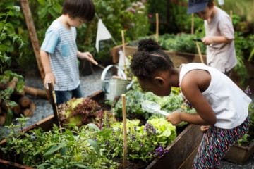 5 Ways To Teach Your Child To Love the Environment