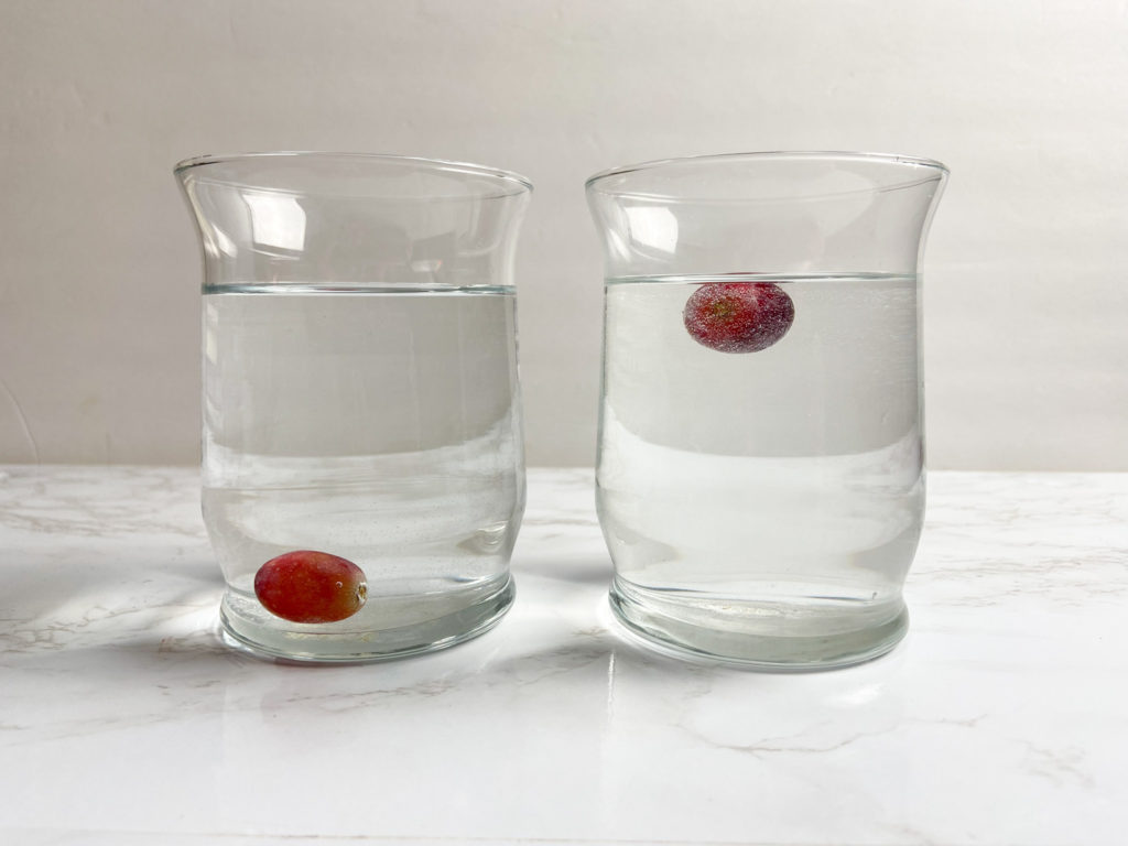 grape sink or float science experiment