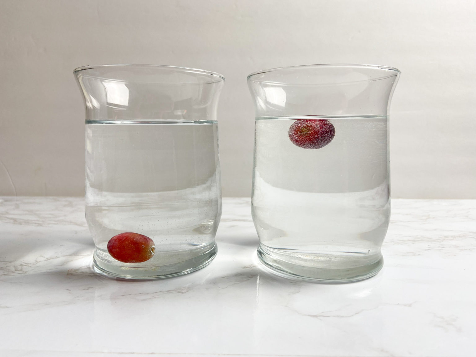 Kids Science Experiment Do Grapes Sink Or Float Raising Veggie Lovers kids-science-experiment-do-grapes-sink-or-float-raising-veggie-lovers