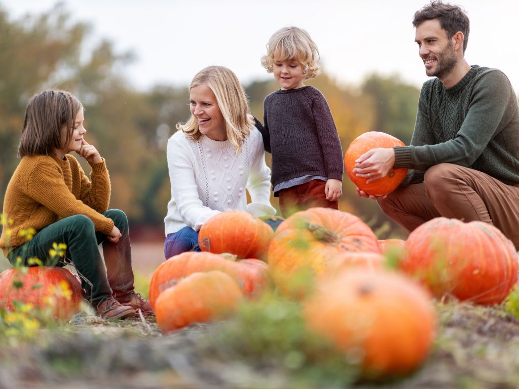 Fun Fall Activities To Do With the Family