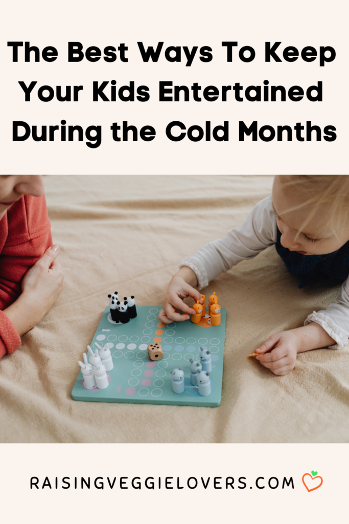 ways to keep your kids entertained during the cold months pin