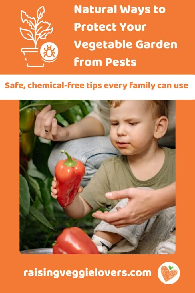 Natural Ways to Protect Your Vegetable Garden from Pests Pin