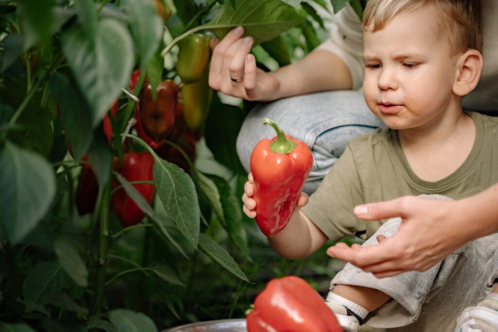 kid gardening