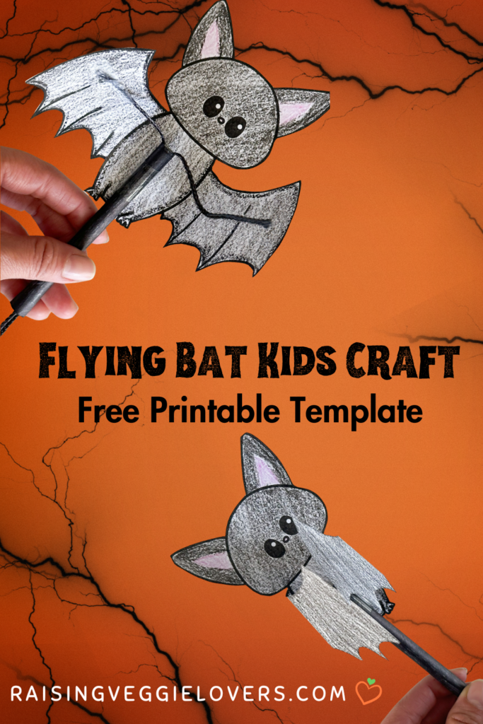 Flying bat kids craft pin
