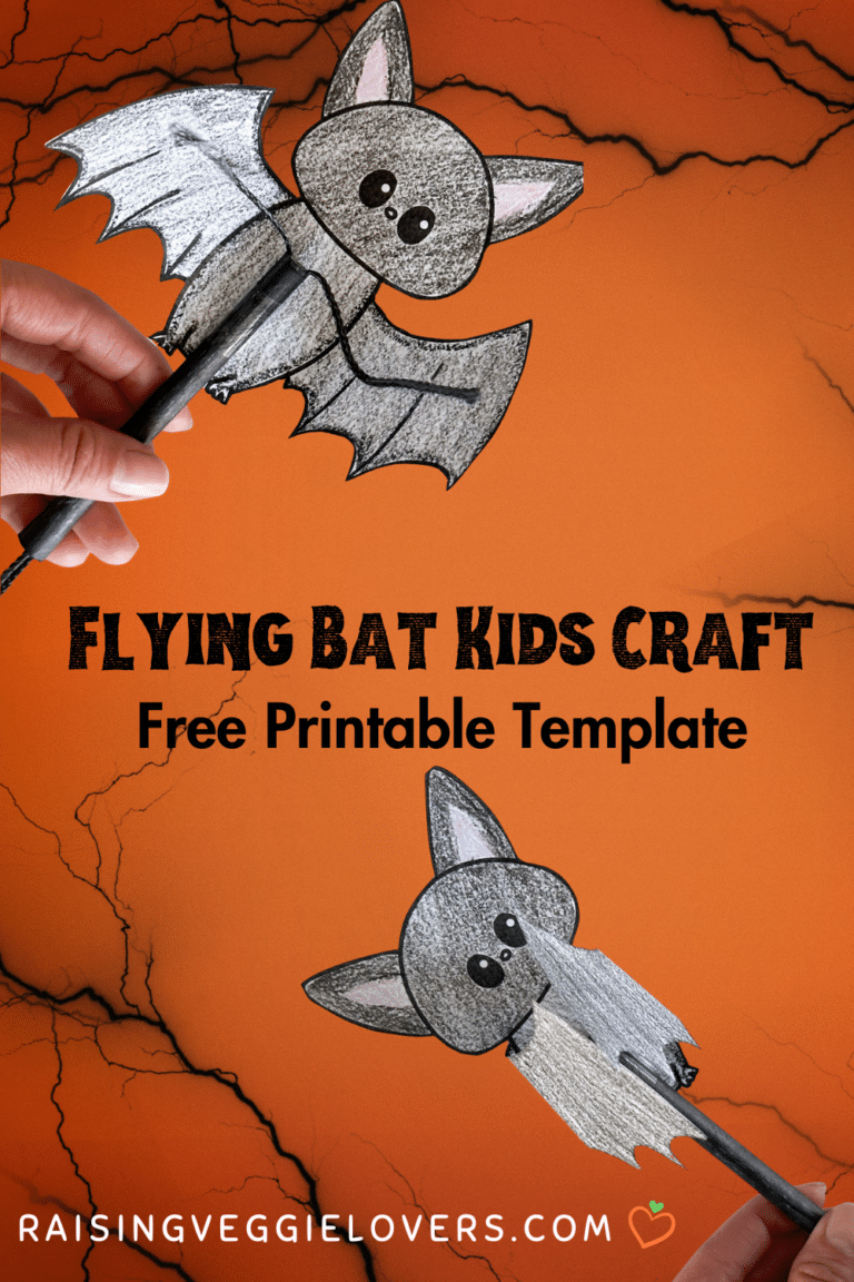 Flying Bat Craft with Free Printable Template - Raising Veggie Lovers