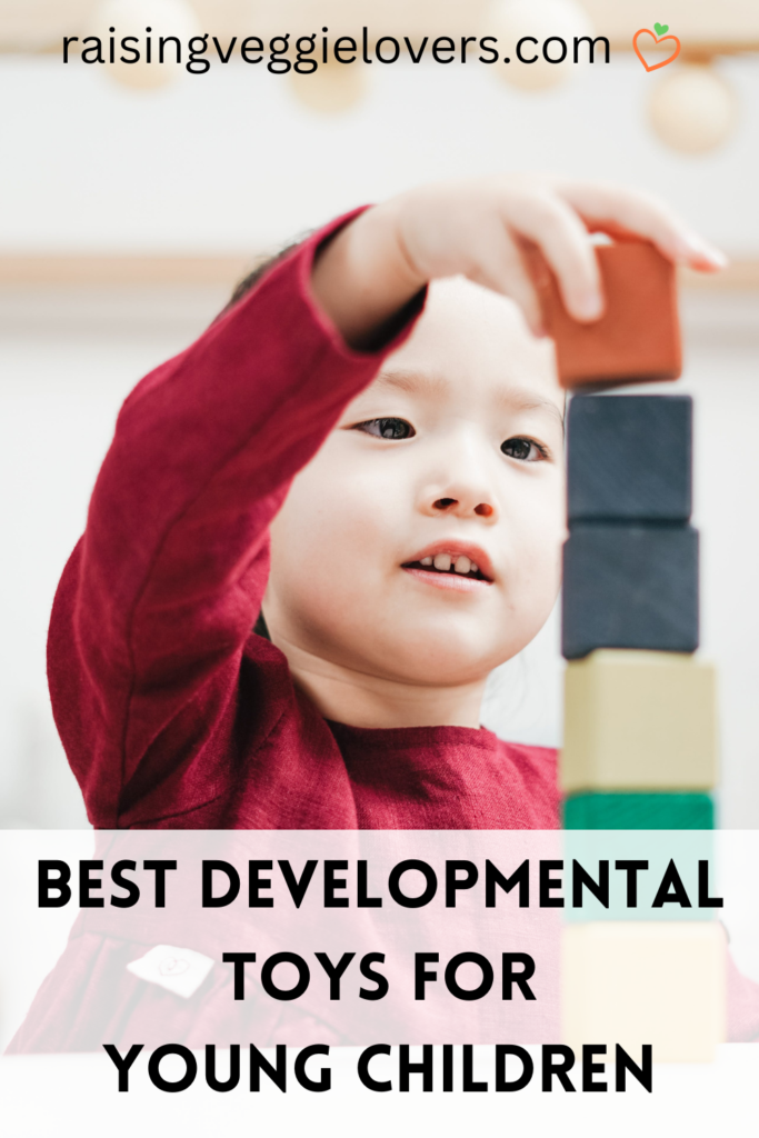 Best Development Toys for Young Children
