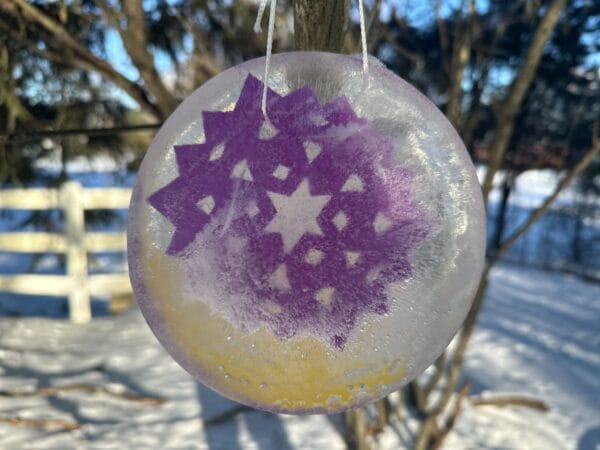 Frozen Snowflake Ornaments - Kids Winter Craft - Raising Veggie Lovers ...