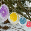 Frozen Snowflake Ornaments