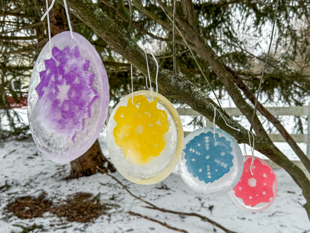 Frozen Snowflake Ornaments