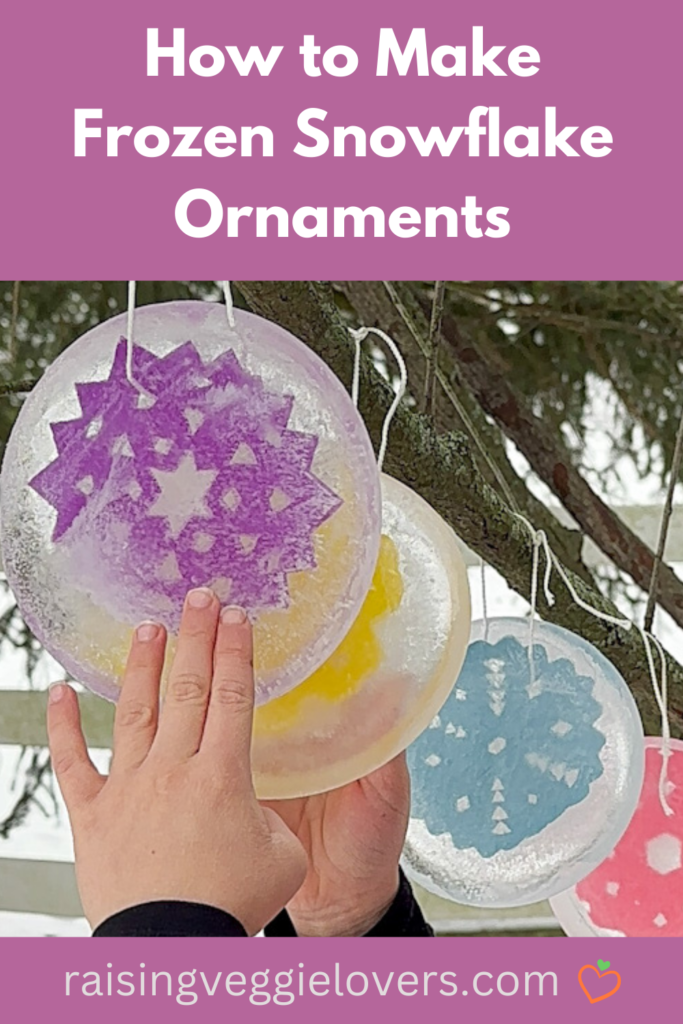 How to make frozen snow flake ornaments - pin.