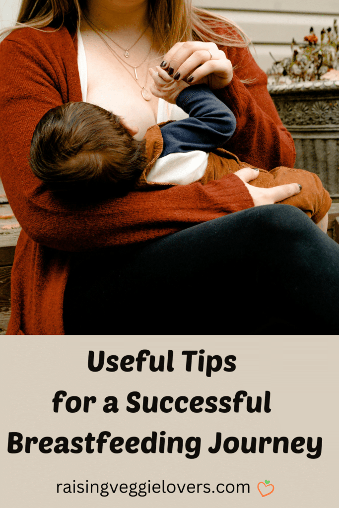 Useful Tips for a Successful Breastfeeding Journey Pin
