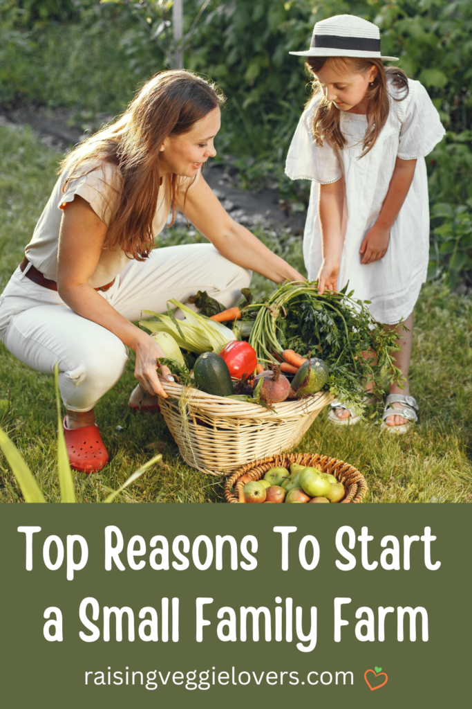 Top Reasons to Start a Small Family Farm Pin
