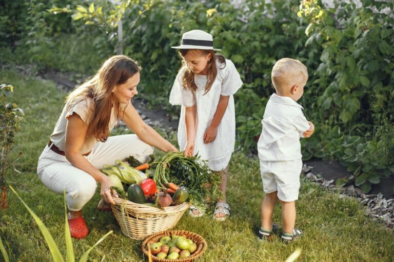 Top Reasons To Start a Small Family Farm