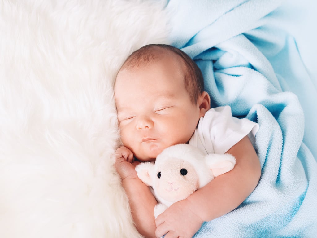 A sleeping newborn baby is wrapped in a soft blue security blanket and hugs a cute stuffed lamb lovey.