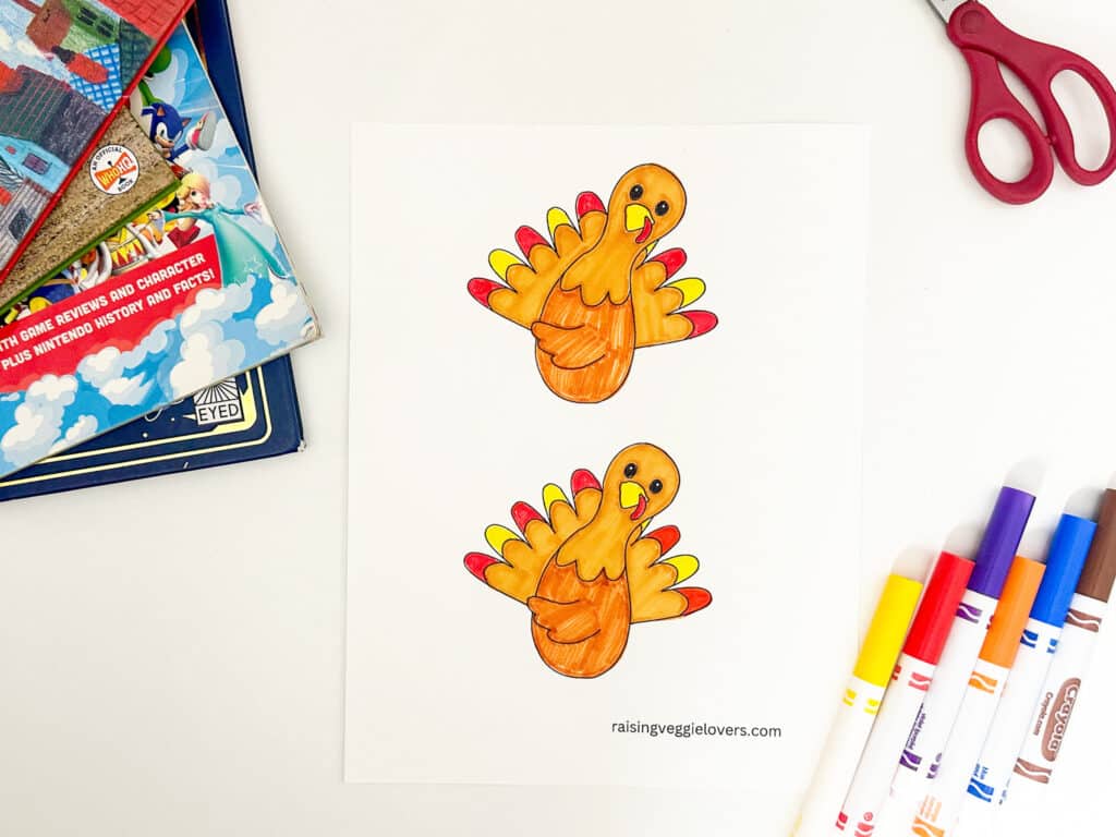 Turkey Bookmark craft