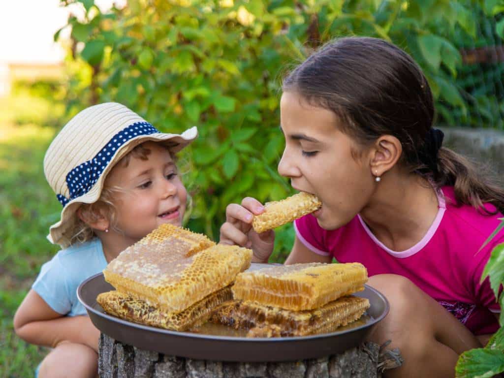 Two young girls are sitting on the grass outside in front of a large plate of honeycomb as one child eats a big piece.