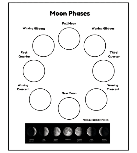 Oreo Moon Phases printable
