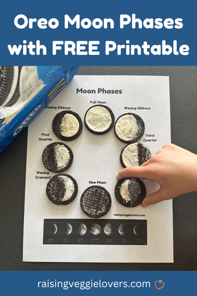 Oreo Moon Phases Pin