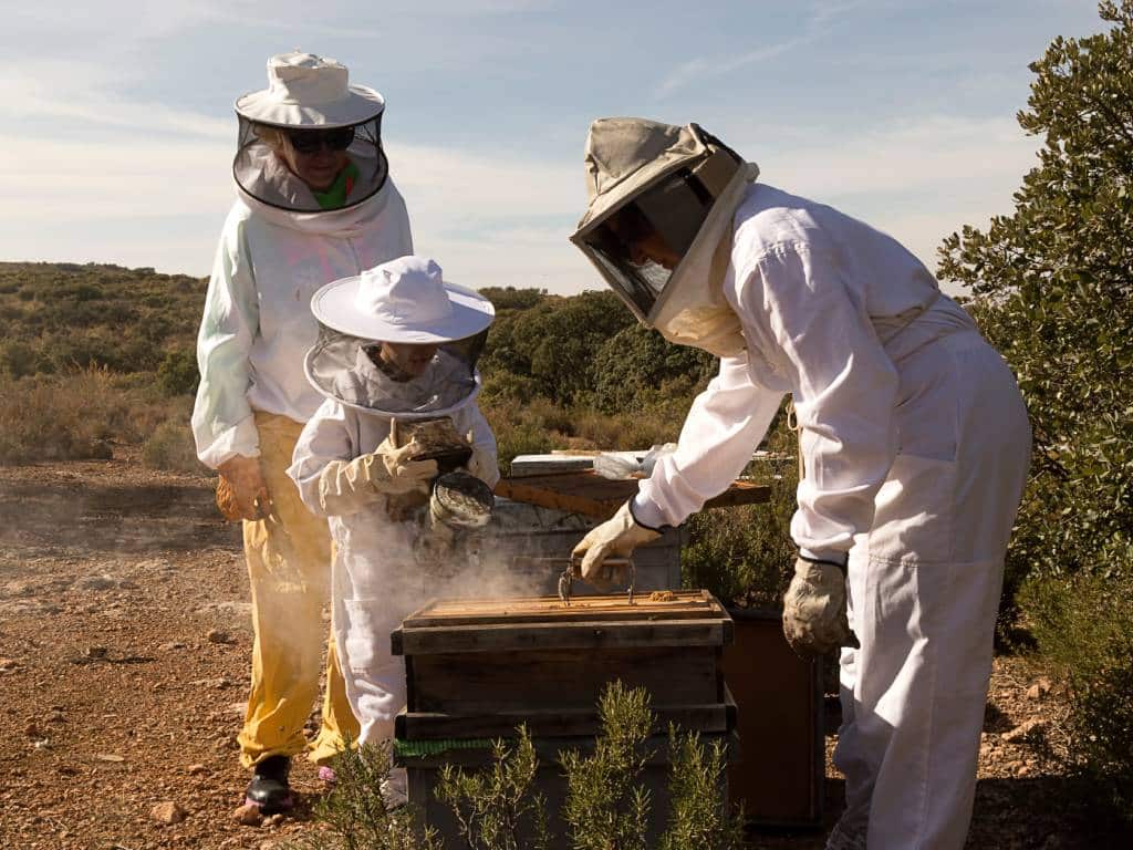 Two adults and a child are wearing full protective gear as they tend to a wooden beehive with a smoker.