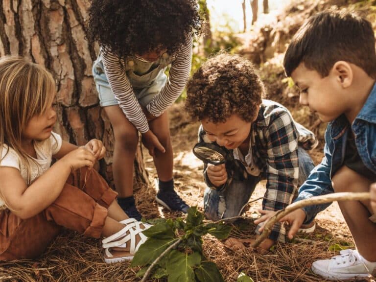 Four kids gathered around a cluster of green leaves in a forest. One holds a stick and another holds a magnifying glass.