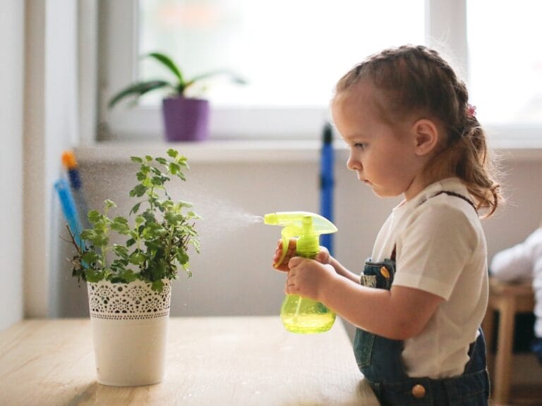 A young toddler girl at home with a spray bottle spritzing a small plant on a kid-sized table. She's focused on the plant.