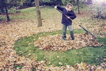 A boy wearing a blue jacket and gray pants uses a black rake with a wooden handle to create a pile of leaves