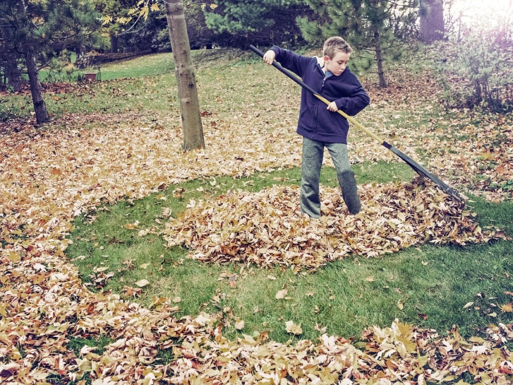 A boy wearing a blue jacket and gray pants uses a black rake with a wooden handle to create a pile of leaves