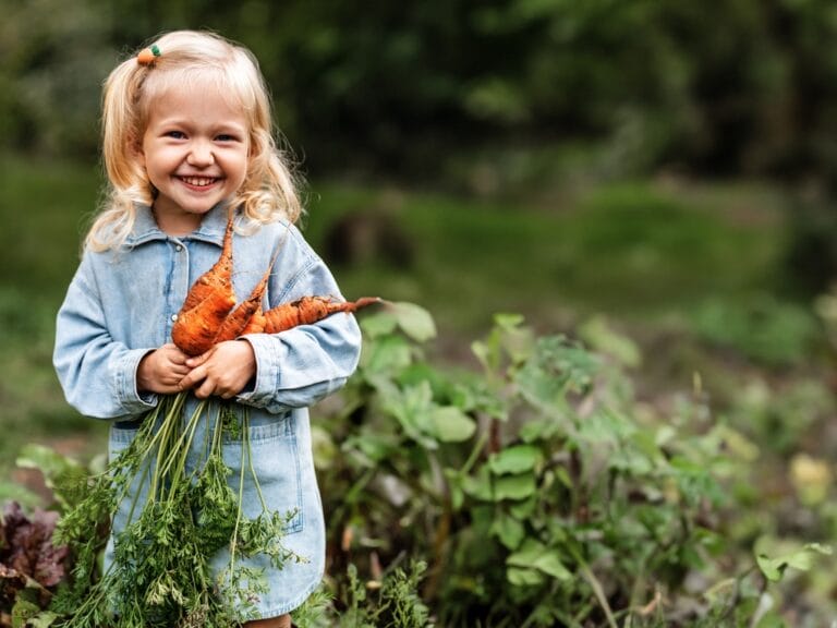 A young blonde girl wearing a denim shirt stands in a garden smiling, holding a handful of freshly picked carrots.