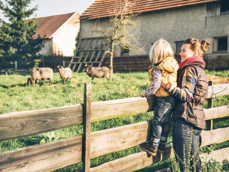 A woman holds a child up against a wooden fence as they look at the grazing sheep near a large building.